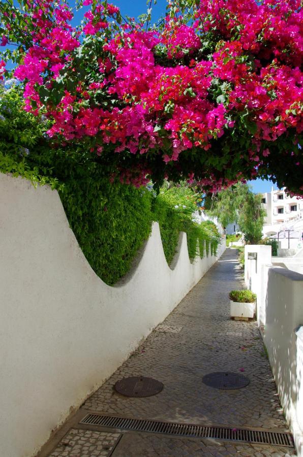 Holidays Albufeira - Ferias De Sonho Экстерьер фото